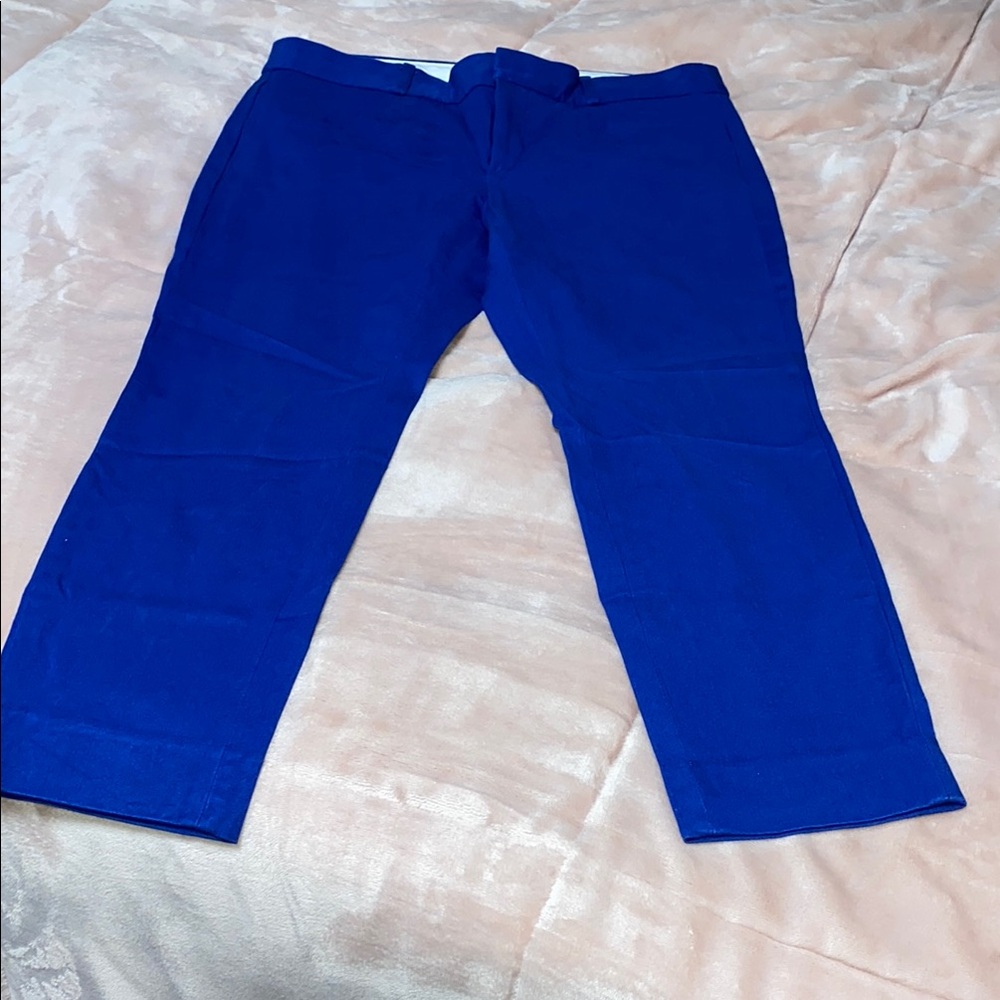 Banana Republic Blue Ankle Cropped Pants